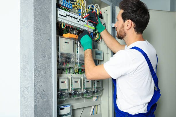 Best Electric Panel Repair  in Tubac, AZ